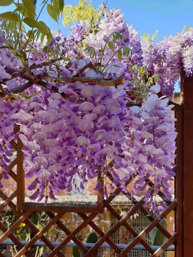 Episcopo Lipinsky Luxury Suites Rome Italie